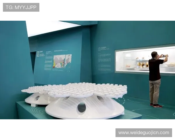 博鱼体育技术创新:引领体育娱乐平台发展的最新科技应用 博鱼体育技术创新:引领体育娱乐平台发展的最新科技应用