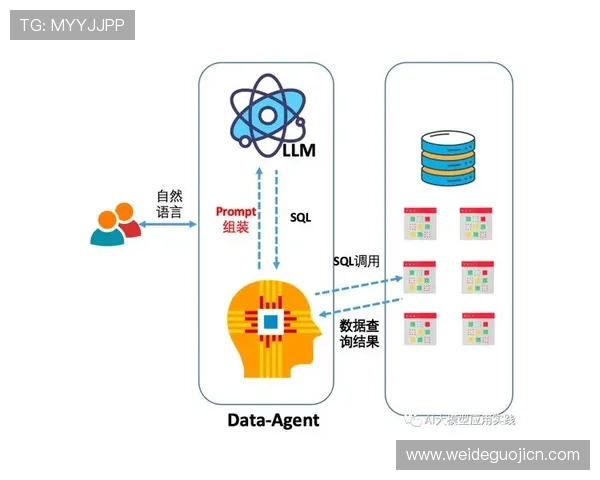 亿百体育数据分析:体育赛事数据统计与预测模型的应用介绍