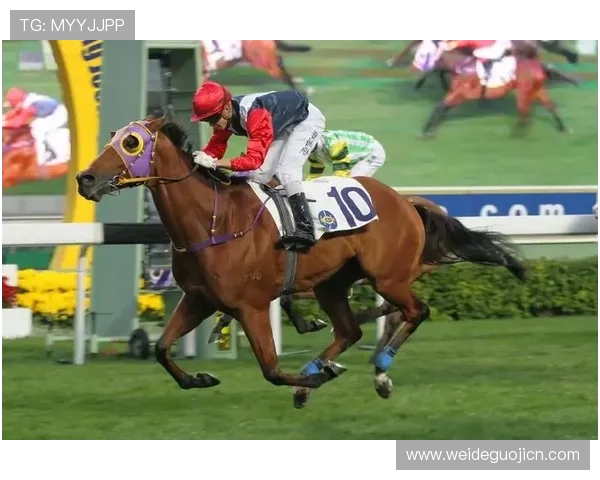 飞速体育娱乐平台带你体验极速赛事直播与多样化体育竞猜玩法的完美结合