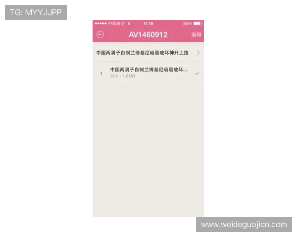 中欧买球网登录遇到问题怎么办，专业解决方案帮助用户快速恢复正常使用体验